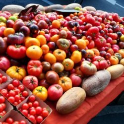 Tomates